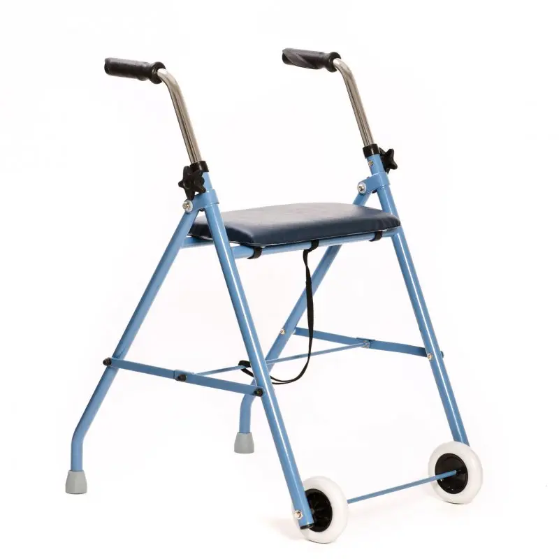 Alex Walking Kickstand - Image 1