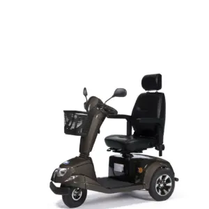 Tricycle 15 km/h CARPO 3 Limited Edition