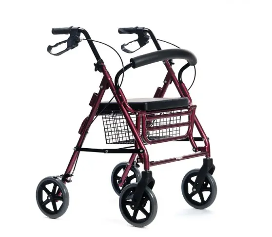 ROSE walking support - Image 1