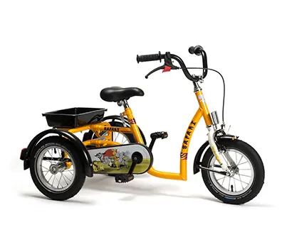 Rehabilitation tricycle for boys years SAFARI - Image 1