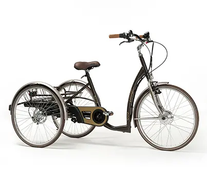 Rower rehabilitacyjny trójkołowy dla dorosłych - elektryczny Vintage-E Vermeiren - obrazek 1