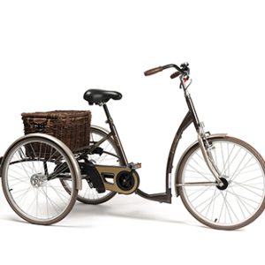 Rehabilitation tricycle for adults VINTAGE